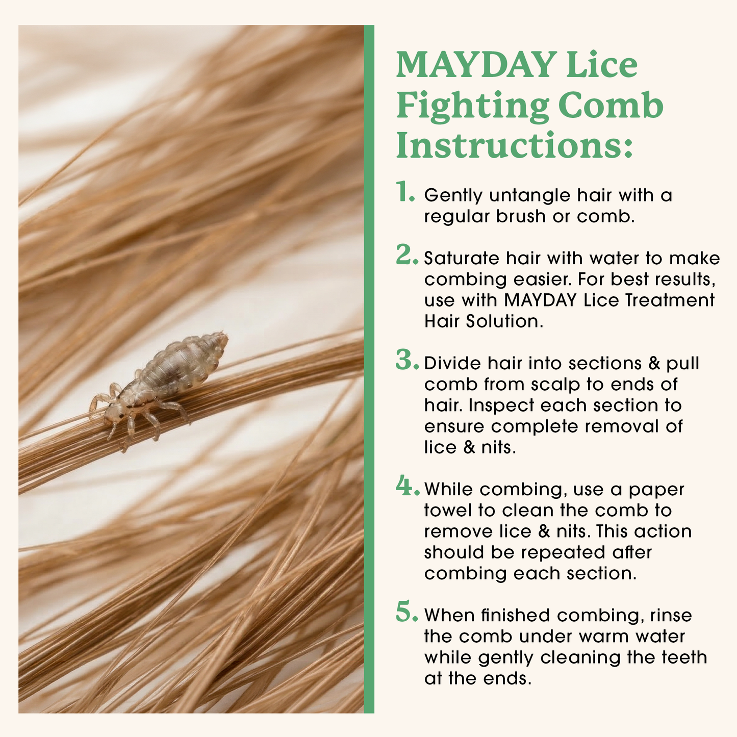 Lice Fighting Comb