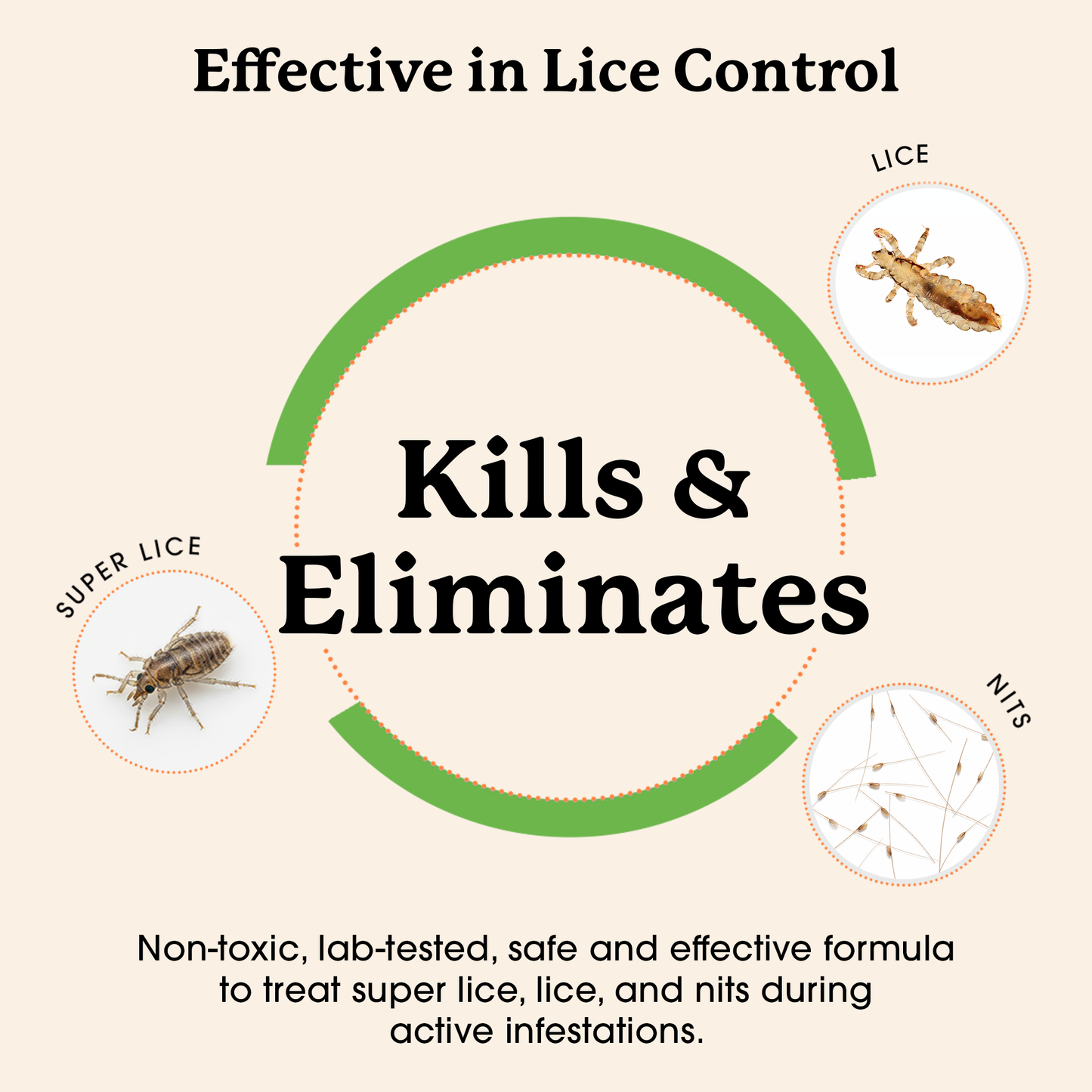 Lice Treatment Kit