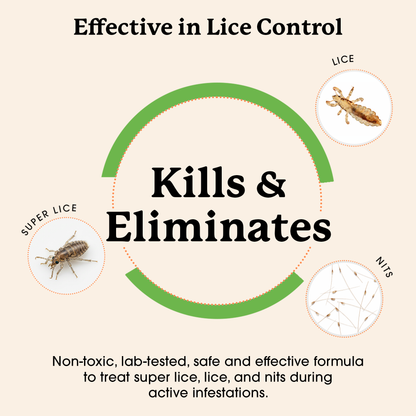 Lice Treatment Kit
