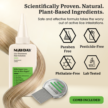 Lice Treatment Kit