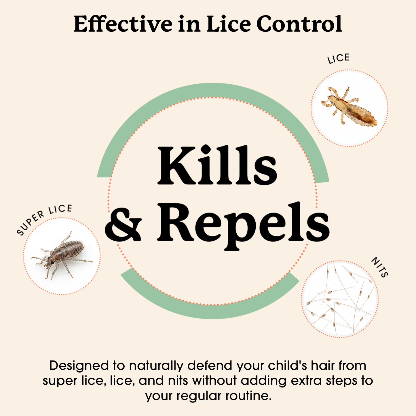 Lice Treatment & Prevention Kit