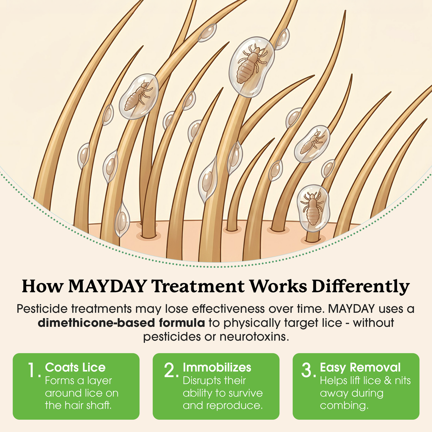 Lice Treatment Kit