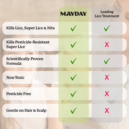 Lice Treatment Kit