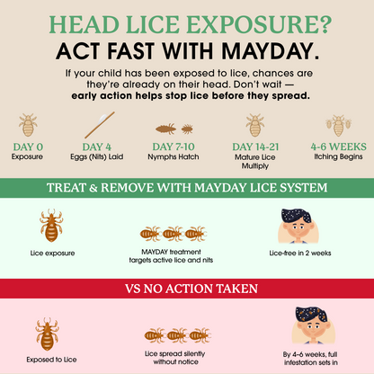 Lice Treatment & Prevention Kit