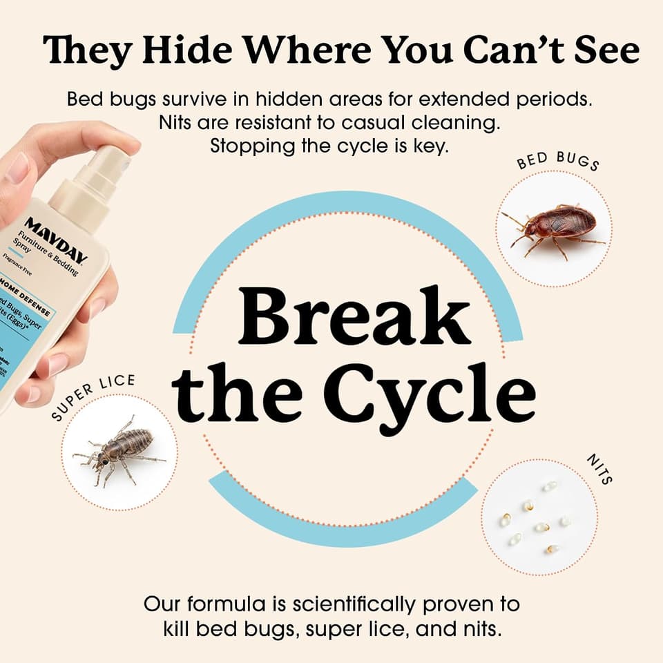 Hand holding the spray beside illustrations of bed bugs, super lice and nits: break the cycle