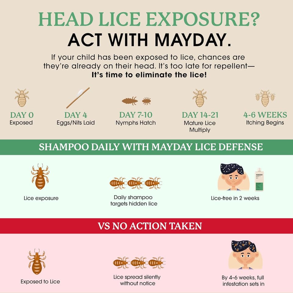 Lice exposure timeline: shampooing daily with MAYDAY versus taking no action