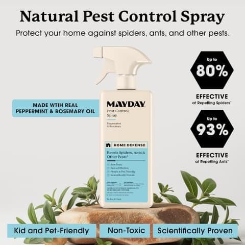 Pest Control Spray with plants: up to 80% effective at repelling spiders and 93% at repelling ants